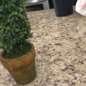 Meet your Posher, Mija